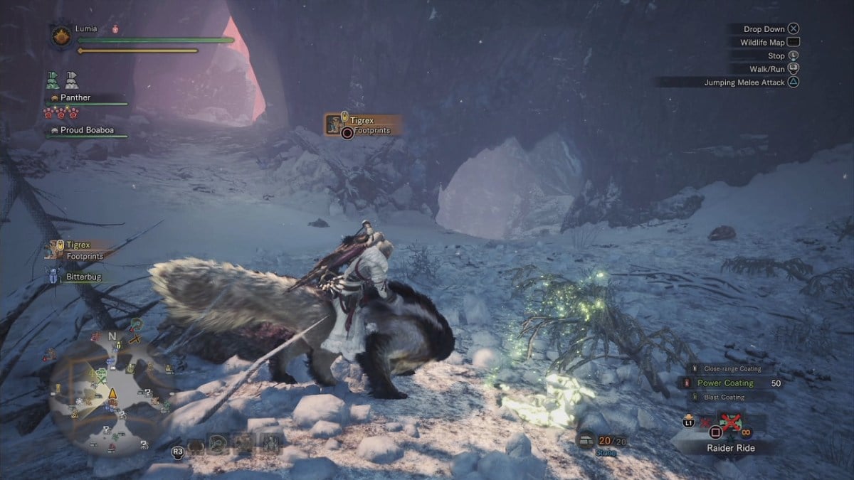 Iceborne Raider Ride